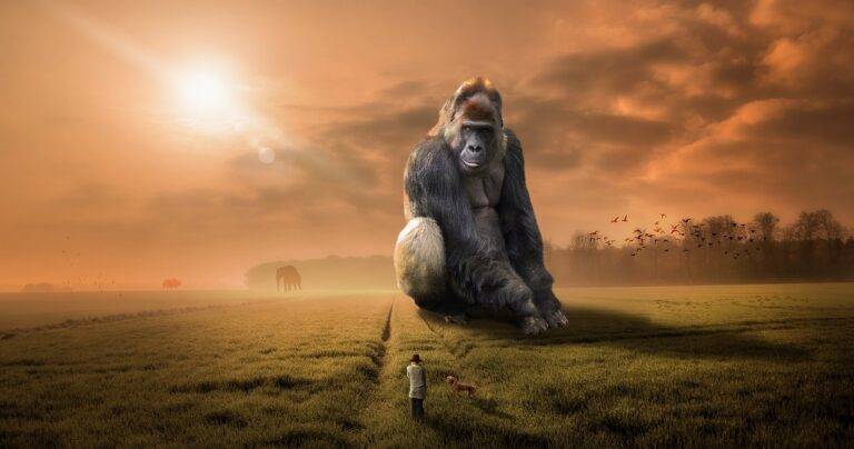 animal, gorilla, ape, primate, herbivore, silver back, sunset, dusk, evening, dawn, landscape, grass, nature, outdoors, people, sunlight, sunrise, dream, huge, gigantic, mysterious, kingkong, brown nature, brown animals, brown landscape, brown sunset, brown sunrise, brown grass, brown dream, brown natural, gorilla, gorilla, gorilla, gorilla, gorilla, dream