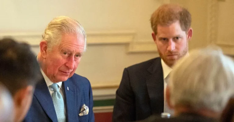 prince harry trying to reconcile with king charles iii 1752509566328
